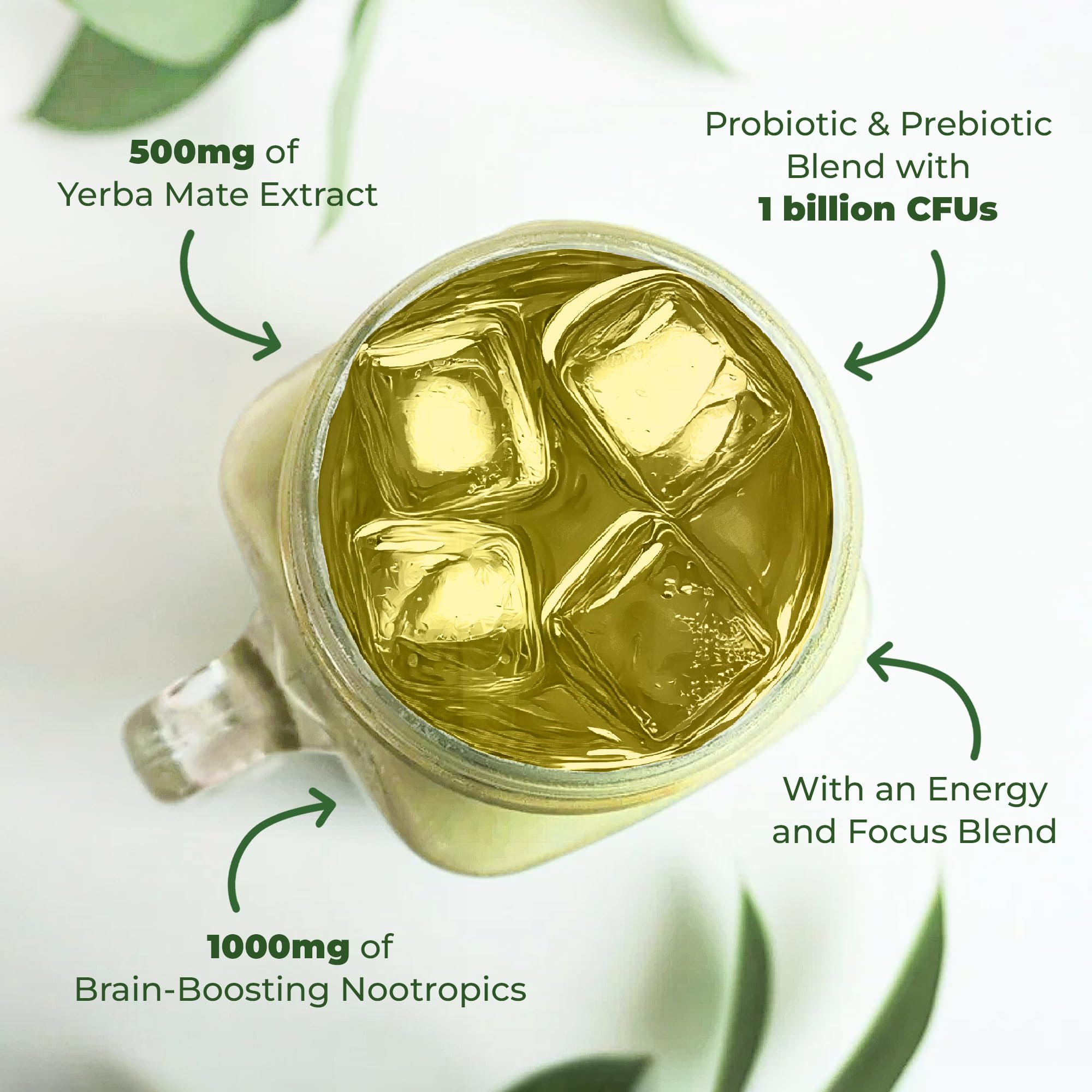 Person studying with Nutratology Yerba Mate for sustained focus during work