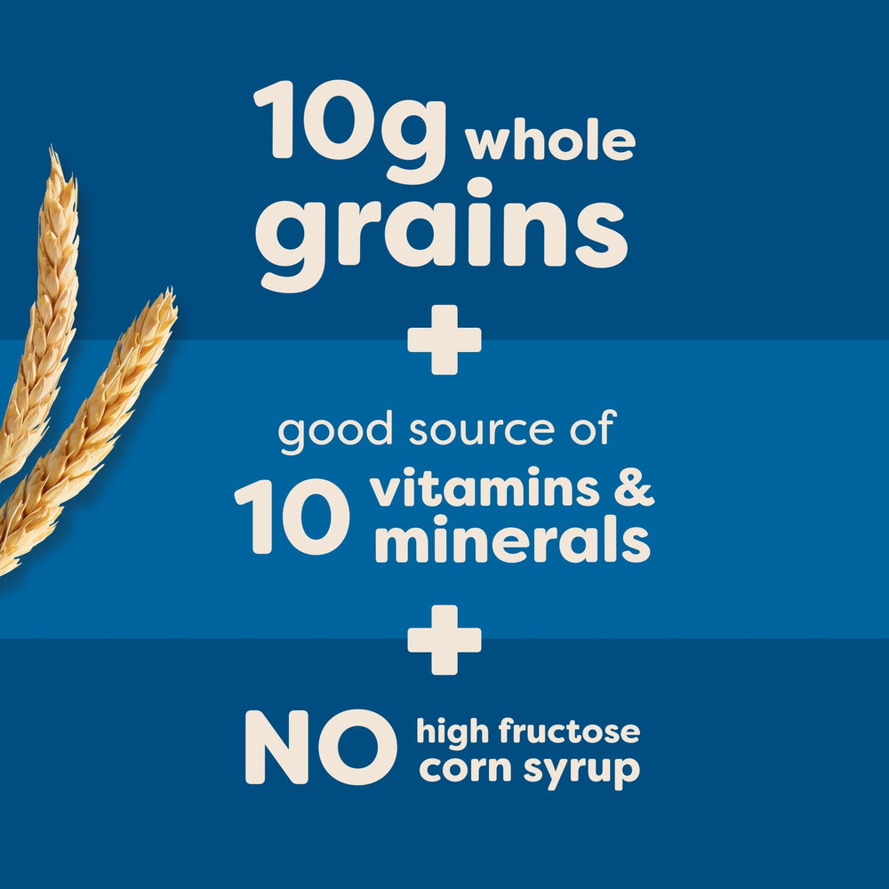 Nutri-Grain 48-count packaging close-up highlights convenient multi-pack.