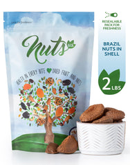 NUTS U.S. Brazil nuts in shell with smooth, buttery texture.
