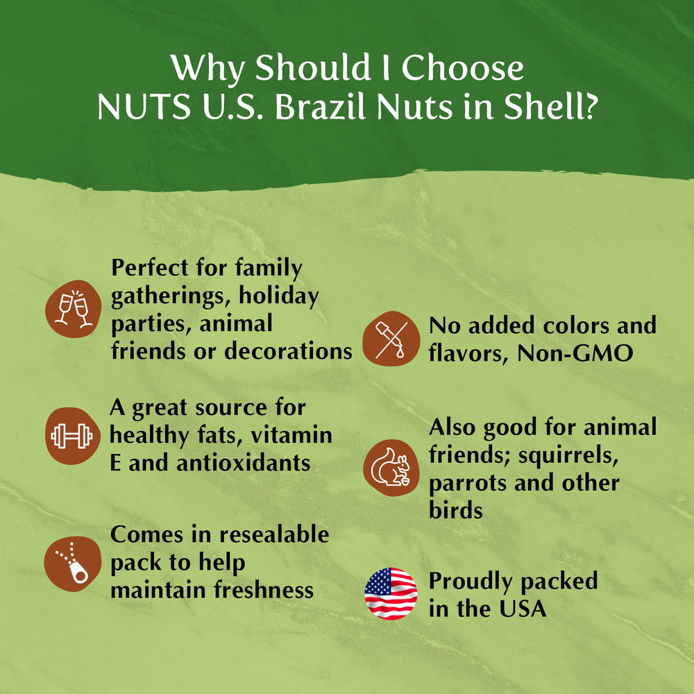NUTS U.S. Brazil nuts in shell natural texture—great for trail mixes and toppings.