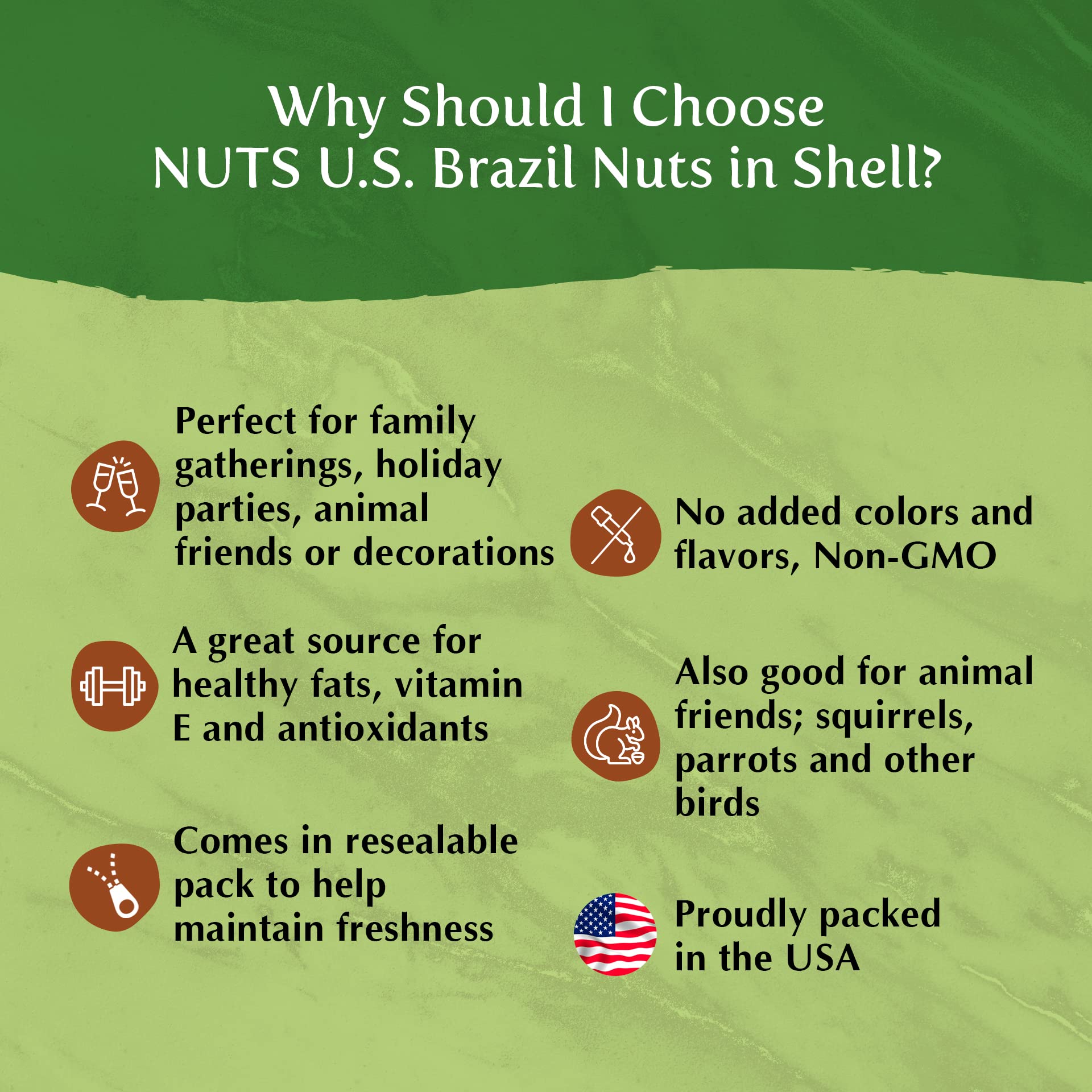 NUTS U.S. Brazil nuts topping for salads or yogurt with nutty crunch.