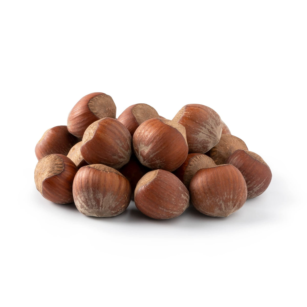 NUTS U.S. Oregon hazelnuts in-shell front view, easy to crack for a quick snack.