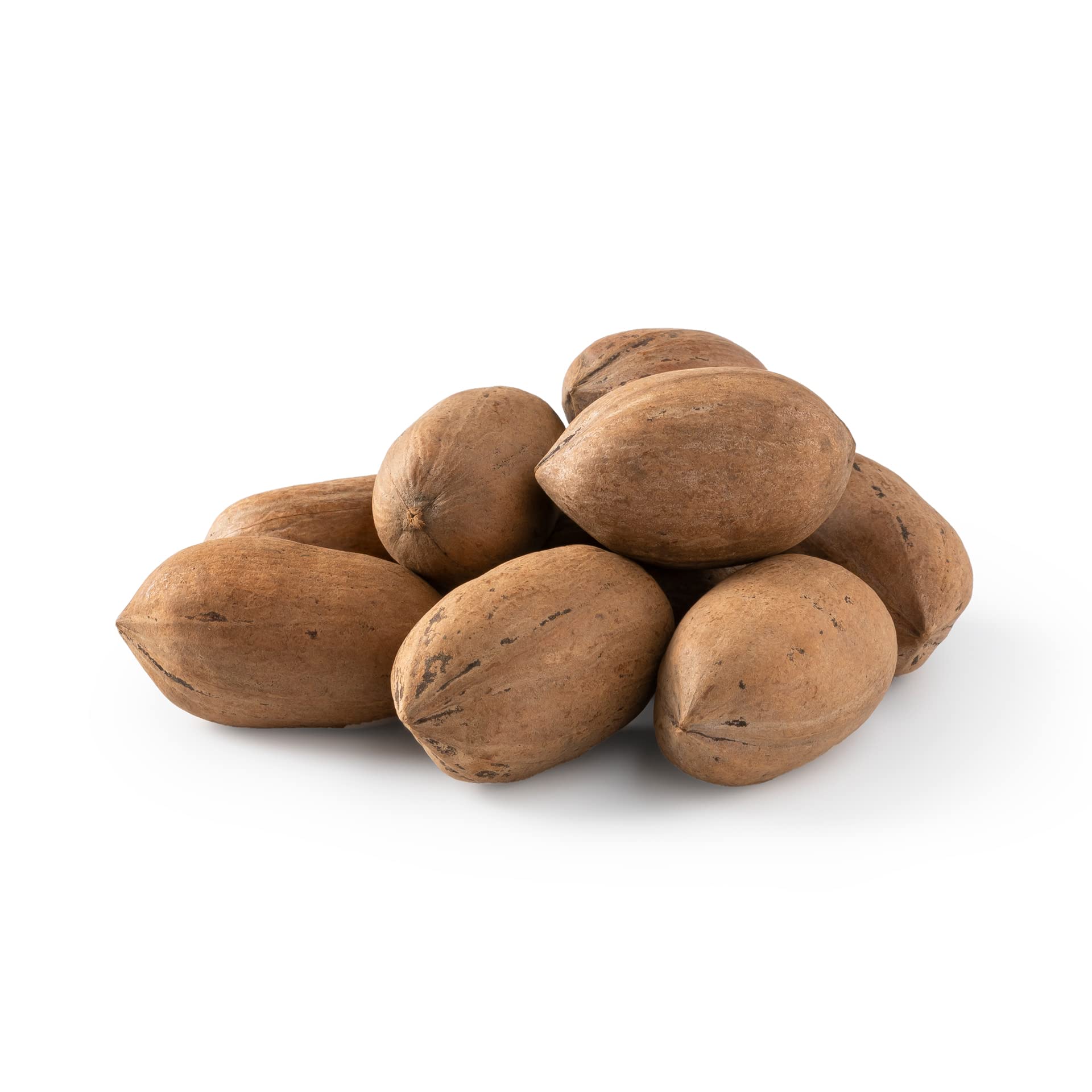 NUTS U.S. pecans in shell show natural raw quality, ready for cracking.