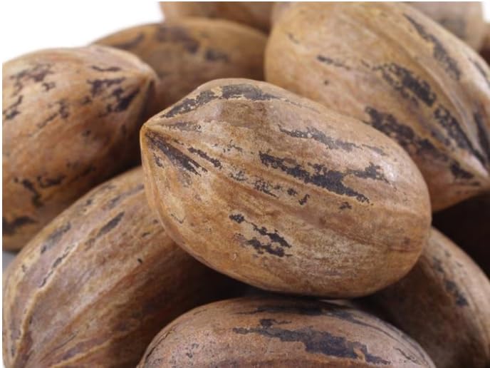 Nuts.com pecans in shell shown as cooking and baking ingredient.