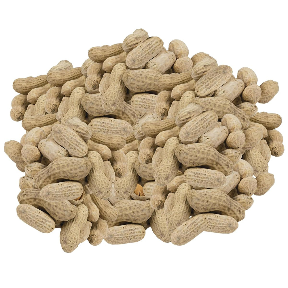 OBELYS peanuts storage tips for keeping freshness in a cool, dry place.