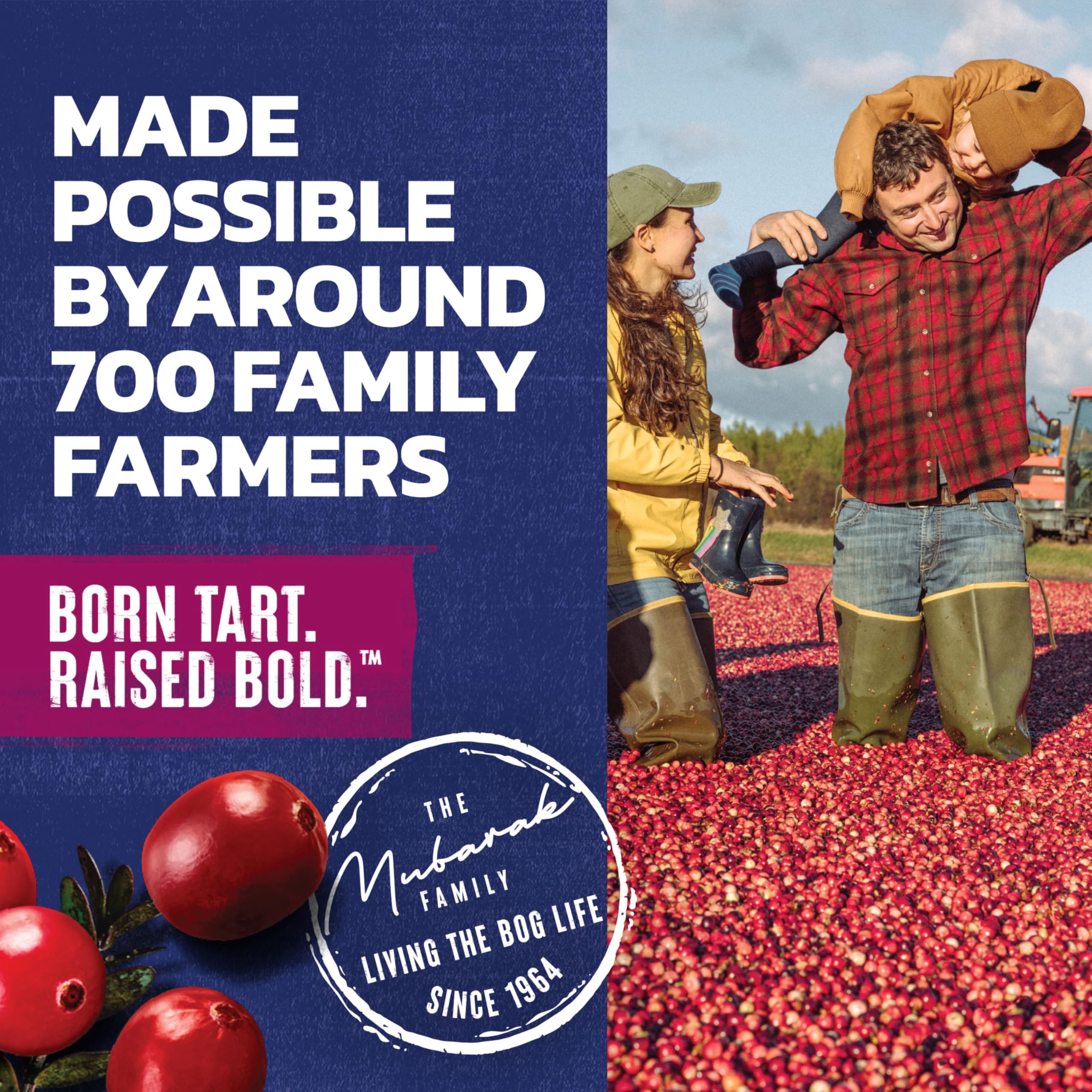Ocean Spray Cran-Pomegranate co-op story image highlights community-grown cranberries.