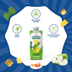 Odwalla carton packaging highlights recyclable design and eco-friendly packaging.