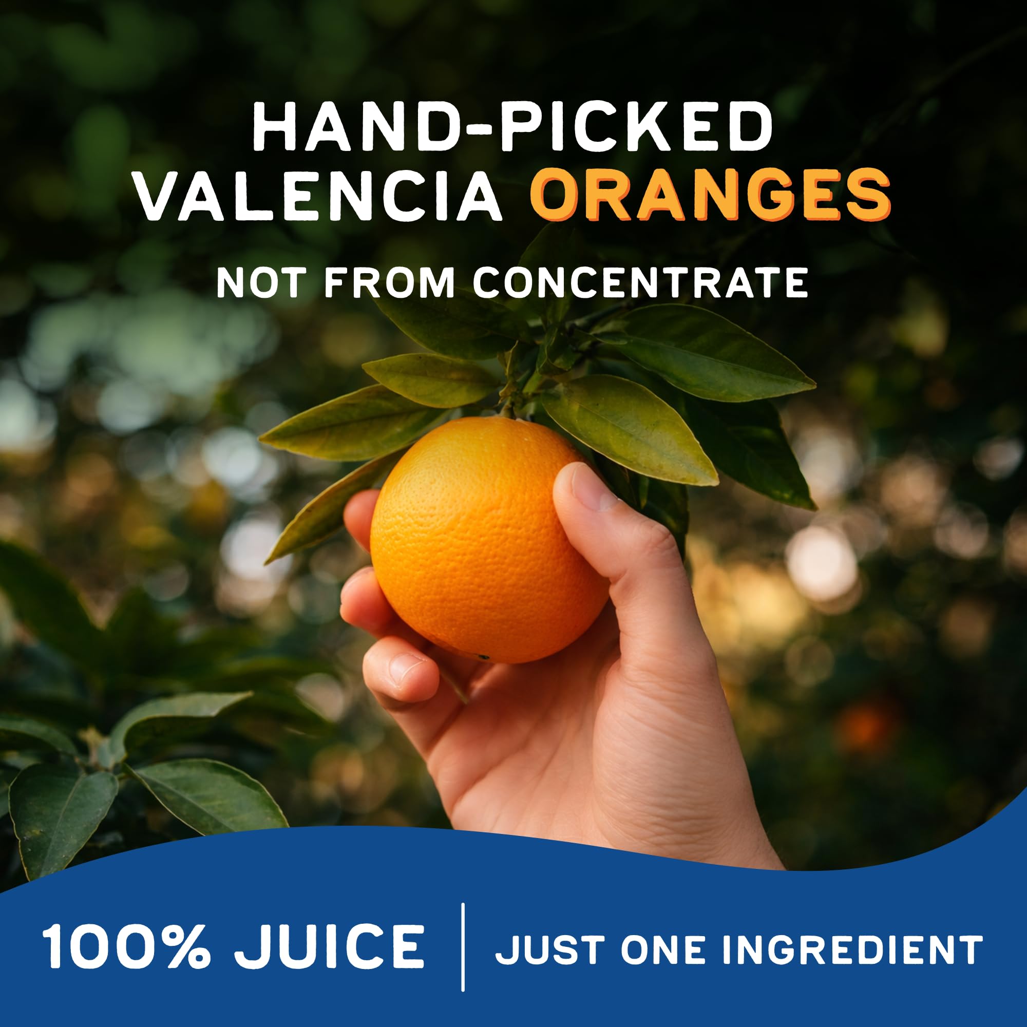 ODWALLA no artificial ingredients label highlights purity