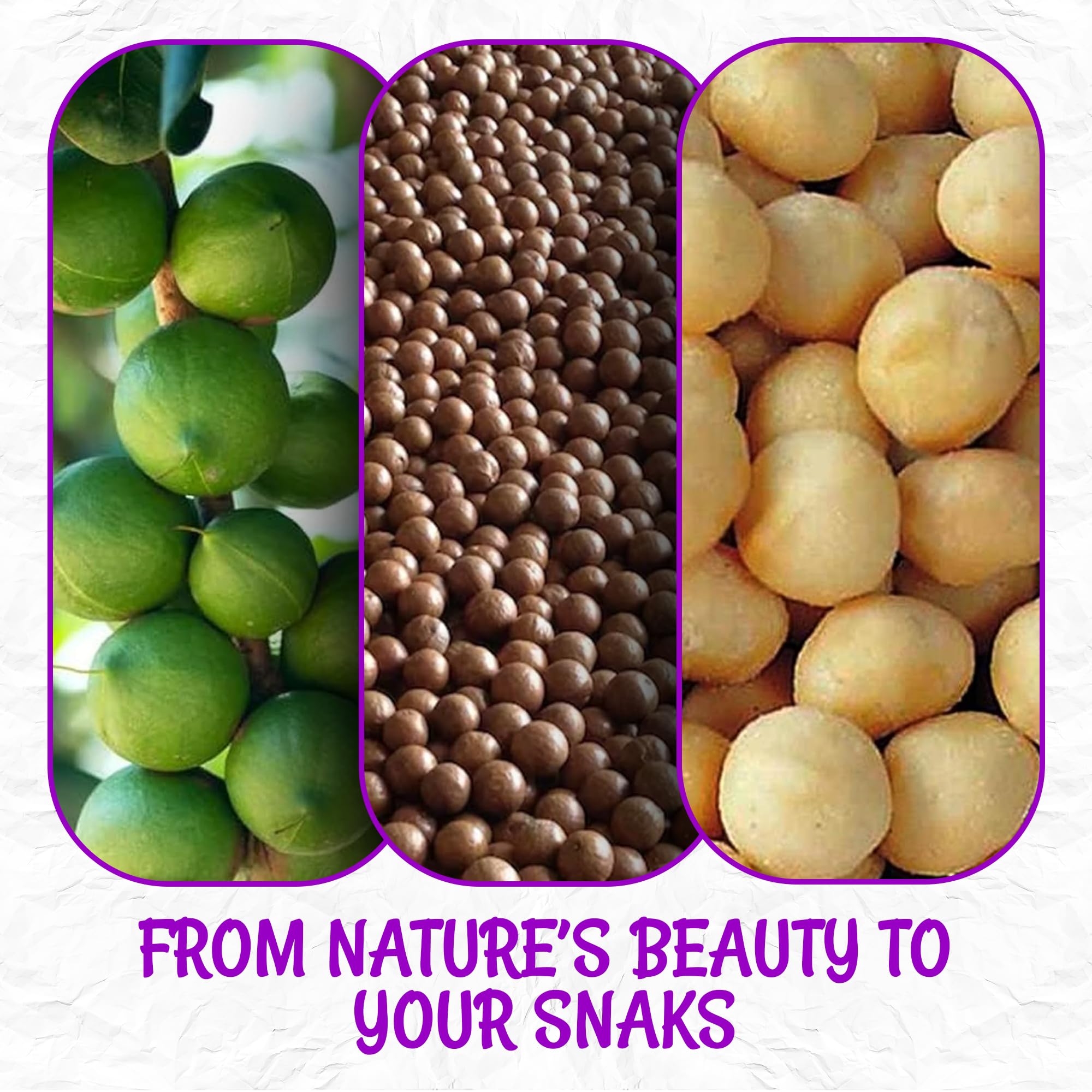 Oh! Nuts macadamia nuts kosher-label close-up reinforces trust in quality