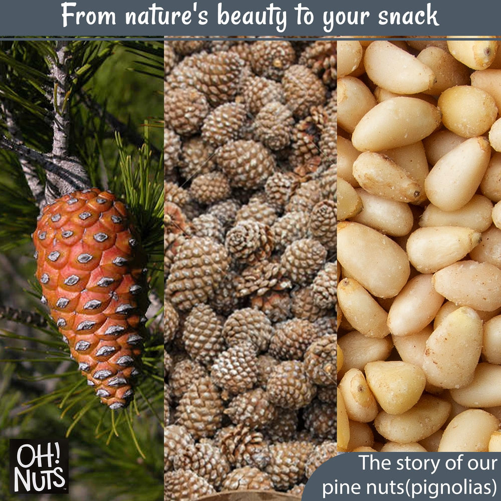 Oh! Nuts Pine Nuts toasted bowl highlighting deep nutty aroma