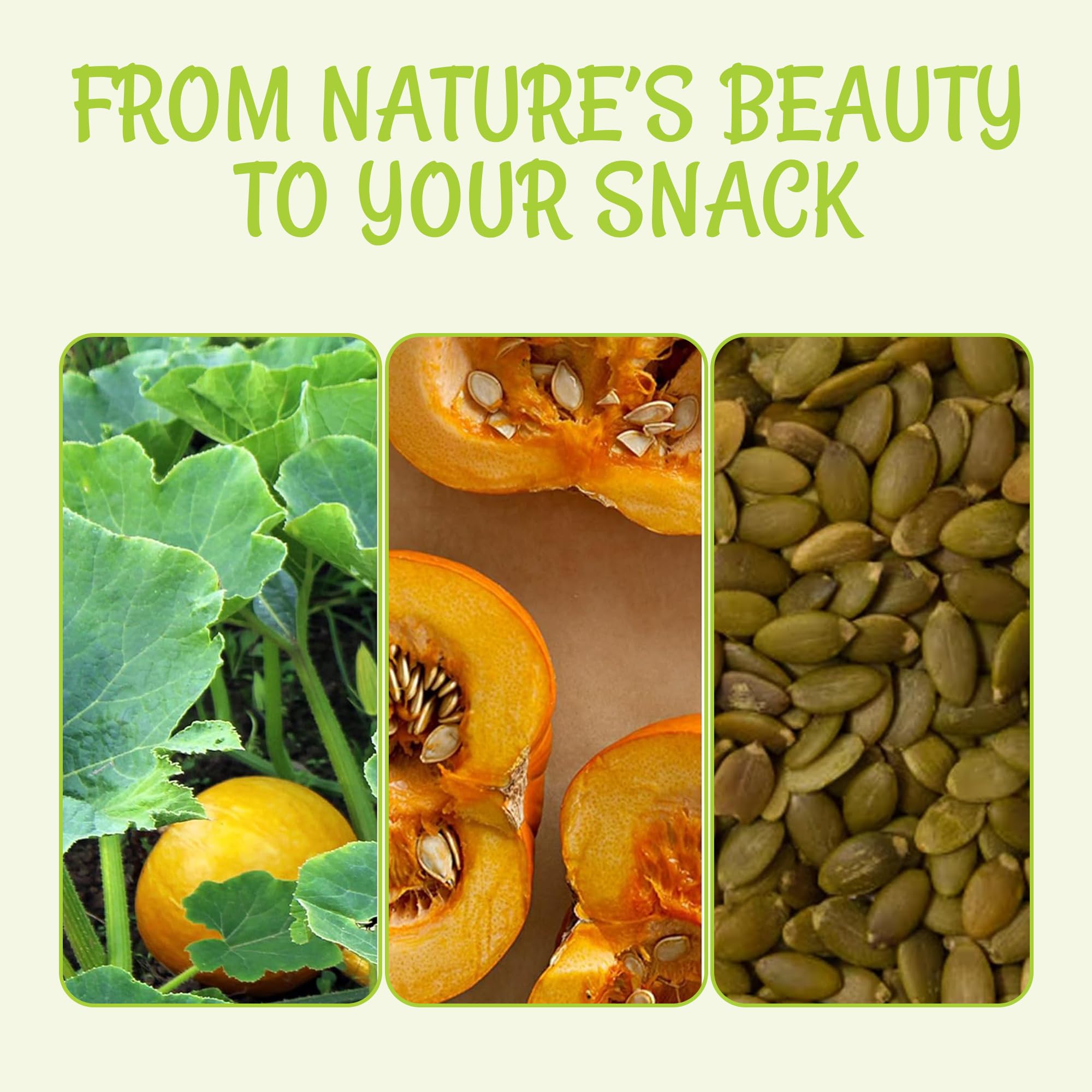 Oh! Nuts roasted pumpkin seeds as a wholesome keto-friendly snack