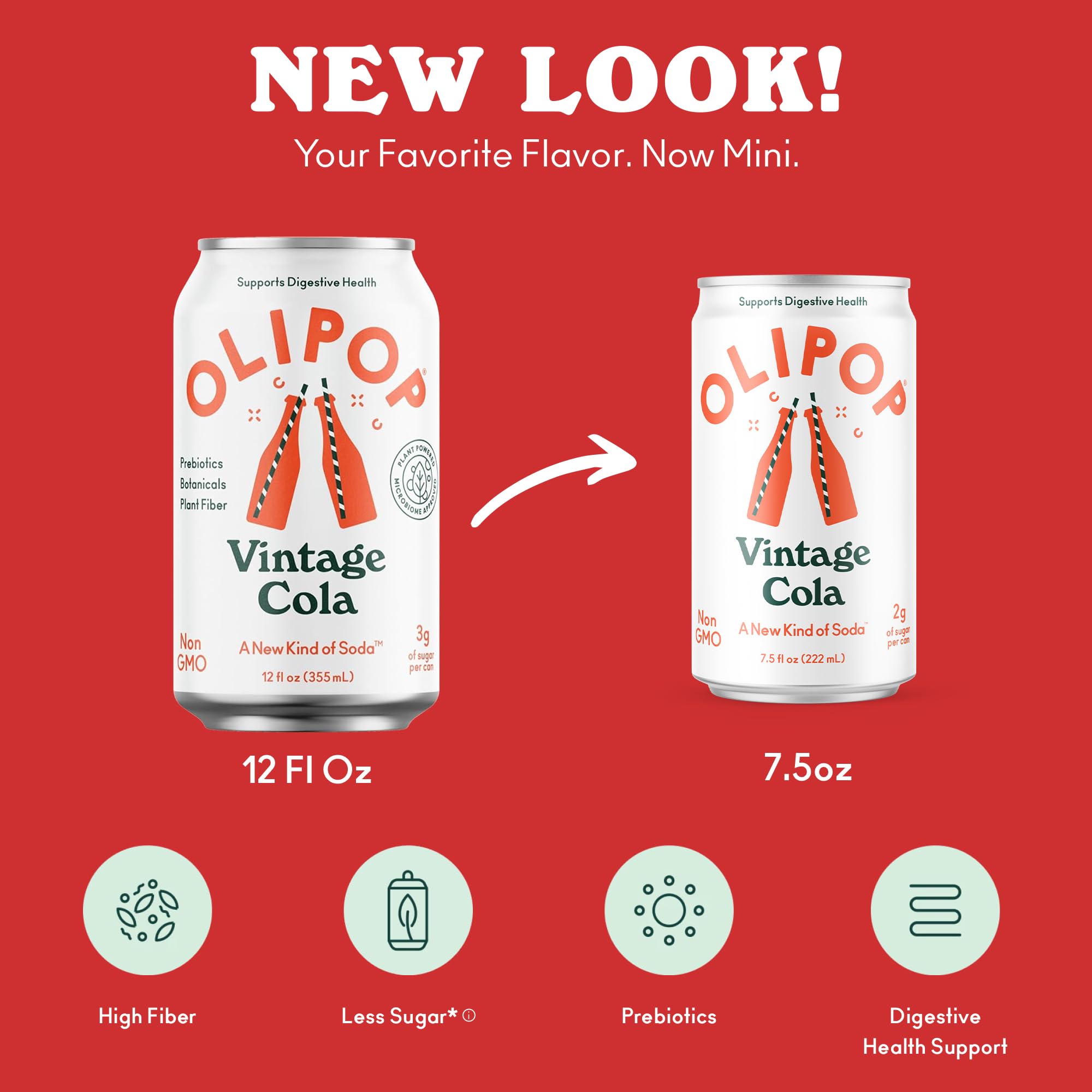 OLIPOP Minis Vintage Cola can in hand for on-the-go refreshment.