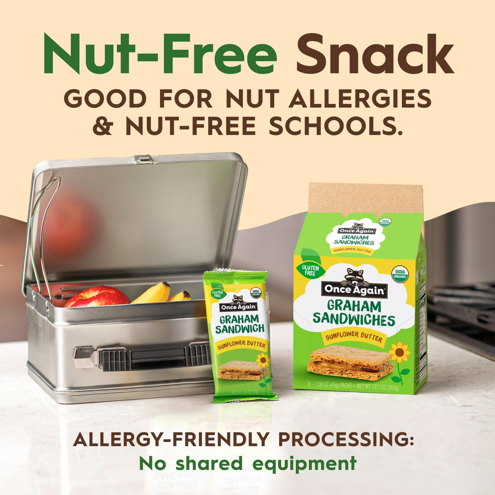 Kid-friendly lunchbox snack by Once Again.