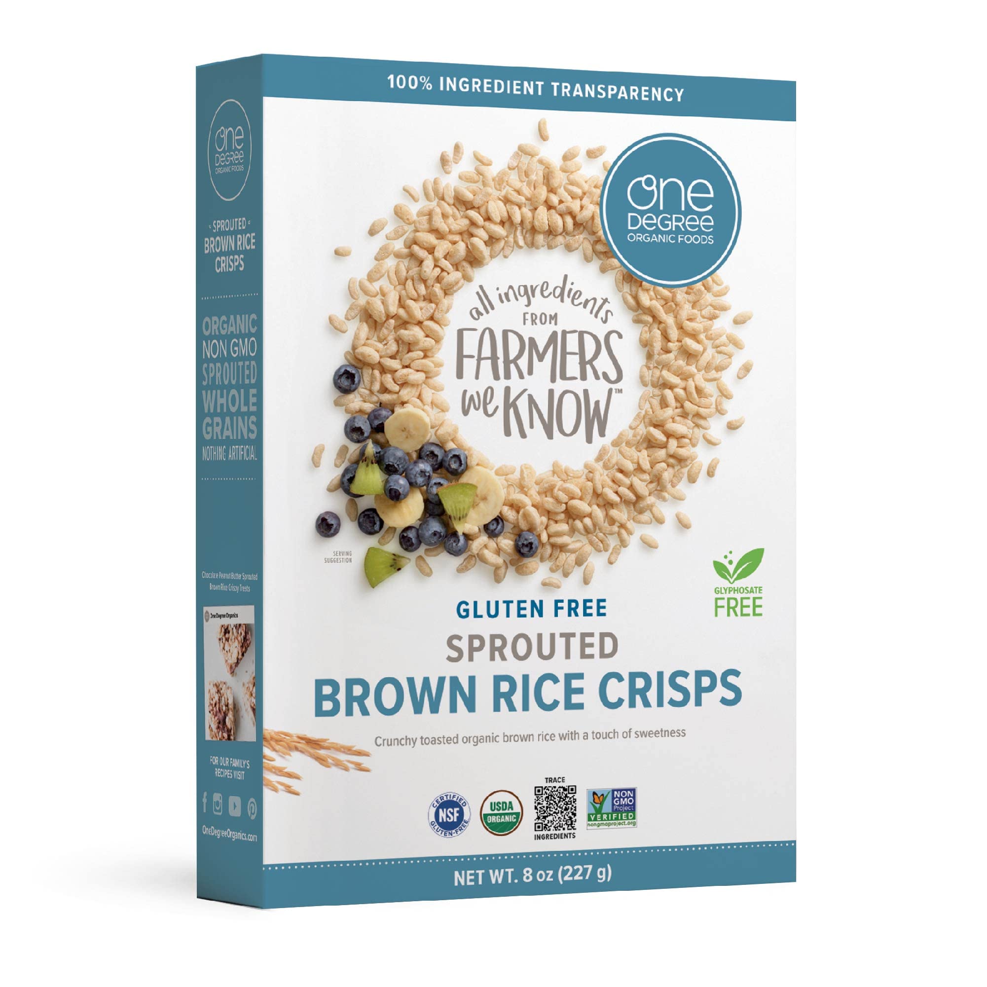 One Degree Sprouted Brown Rice Crisps close-up reveals light, crunchy texture