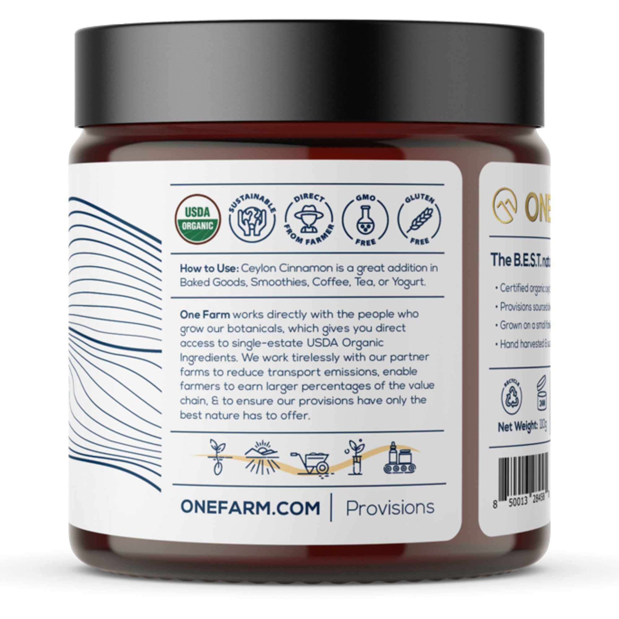 Creamy latte with cinnamon swirl highlights pairing with coffee and plant milks.