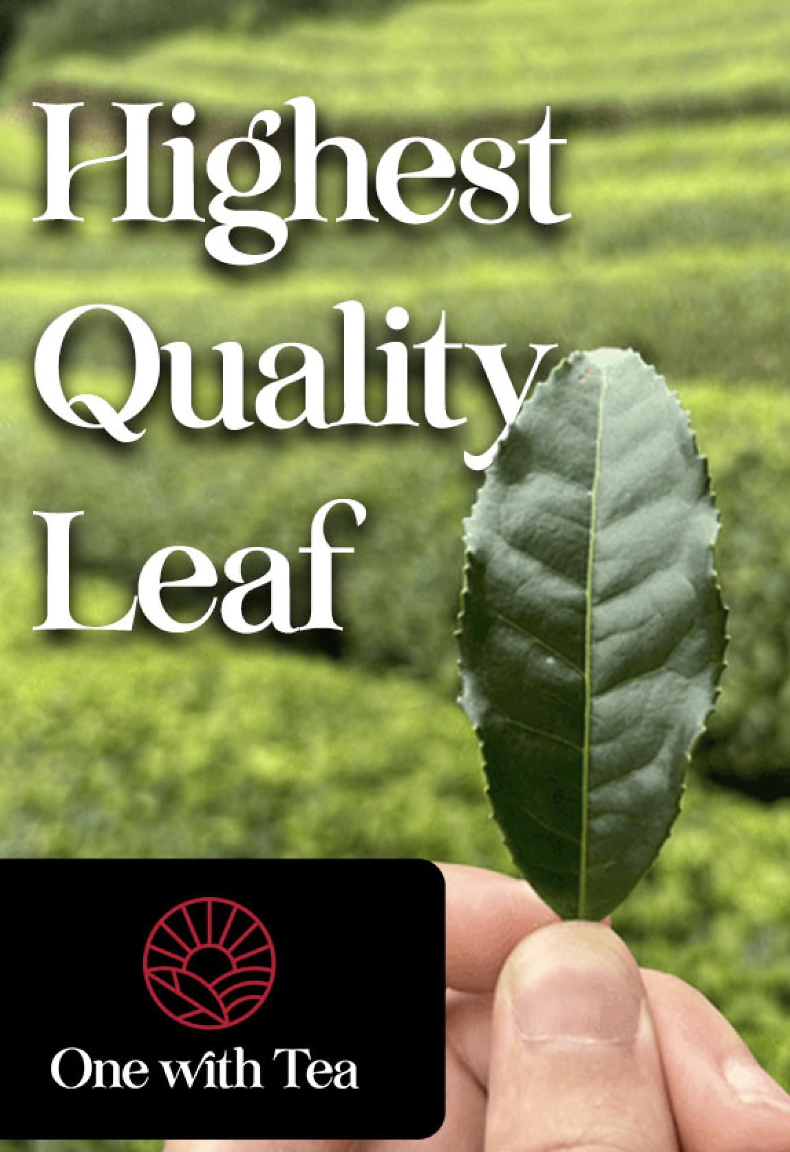 One With Tea Genmaicha packaging label conveys USDA Organic certification.