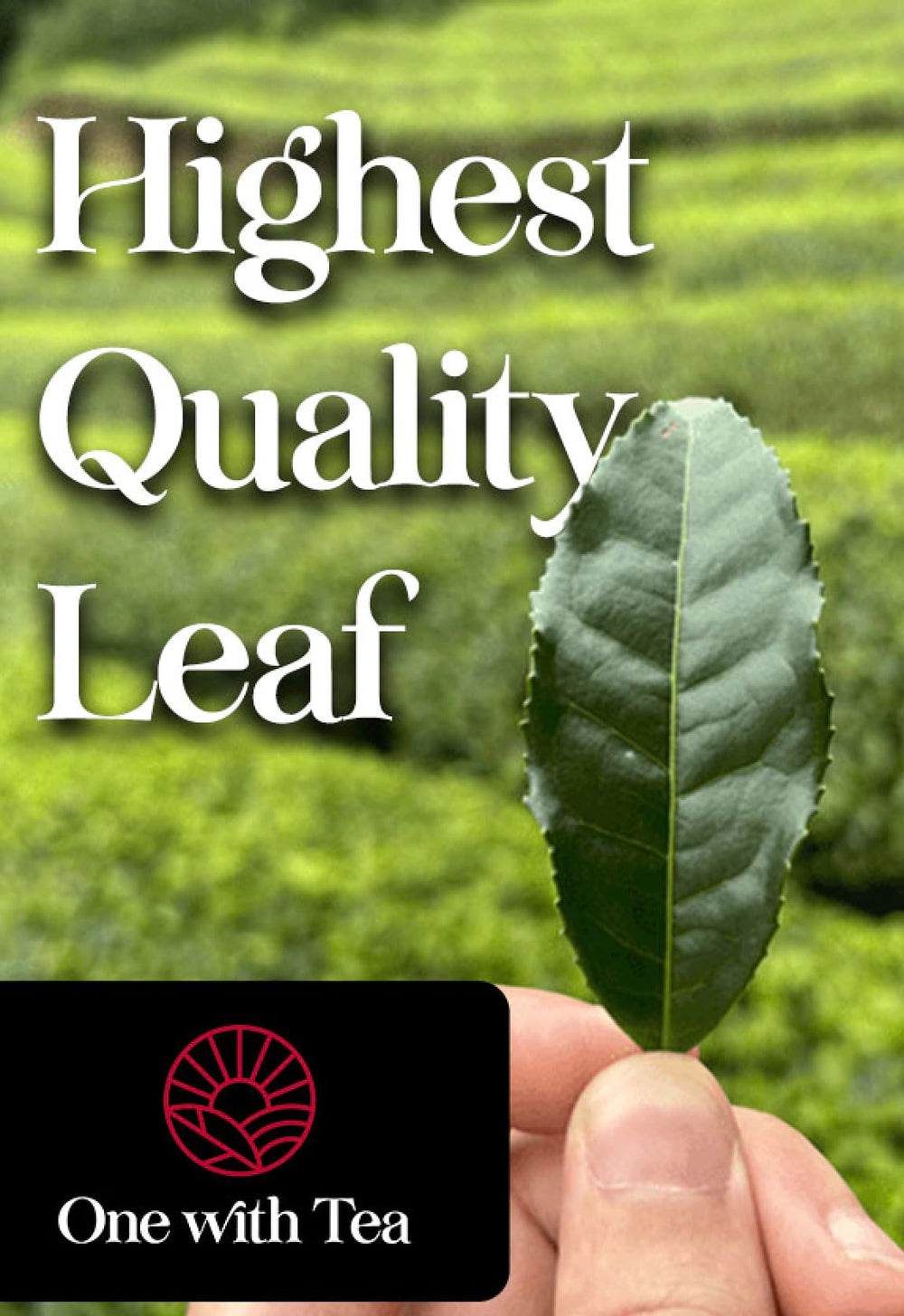 One With Tea Genmaicha packaging label conveys USDA Organic certification.