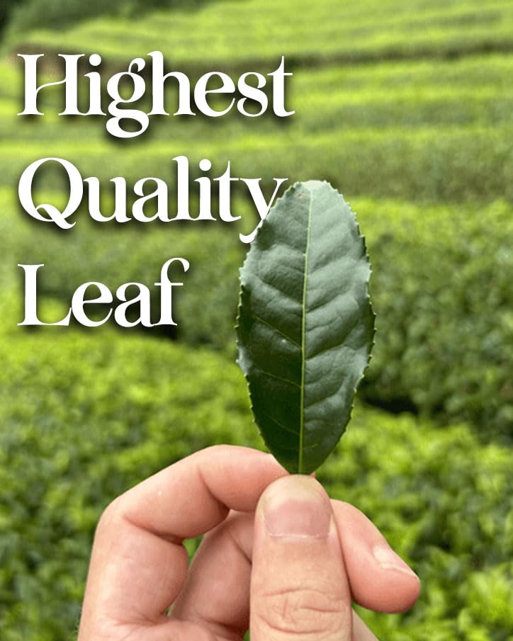 One With Tea Genmaicha packaging on display presents a clean, eco-friendly presentation.