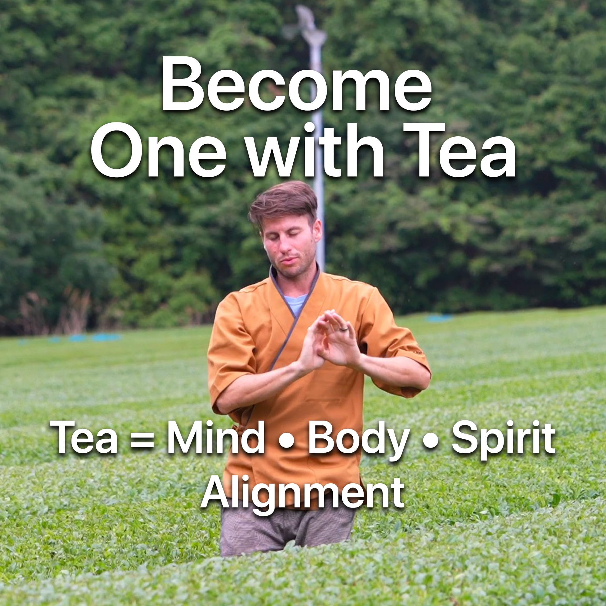 ONE WITH TEA Sencha loose leaf display-scene captures fresh-green leaves and inviting aroma.
