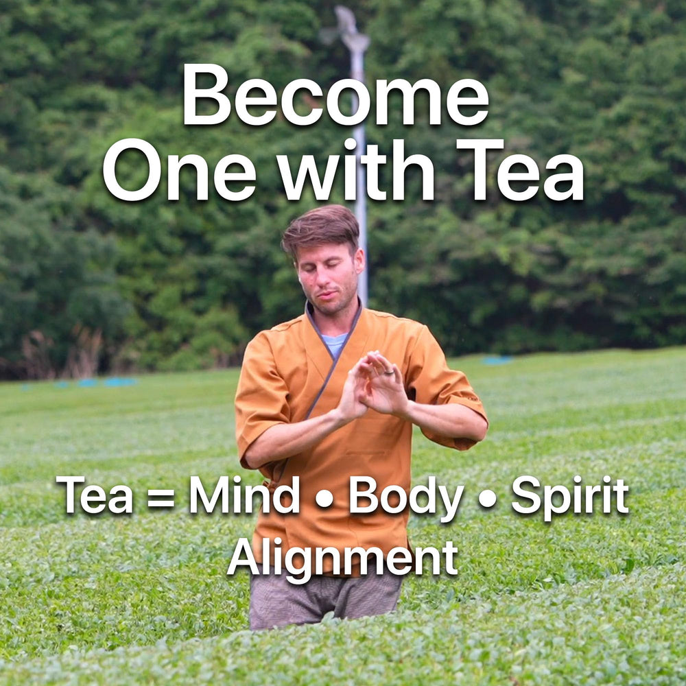 ONE WITH TEA Sencha loose leaf display-scene captures fresh-green leaves and inviting aroma.