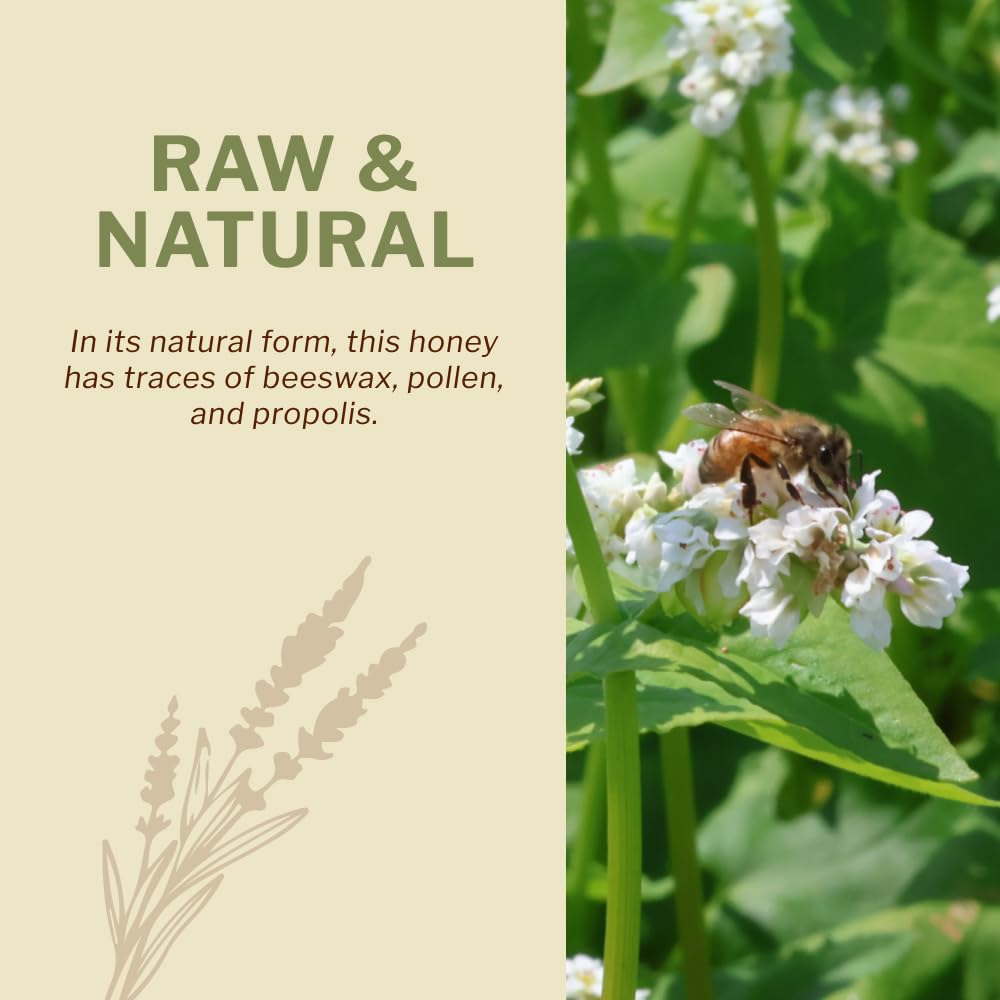 OneRoot Buckwheat Honey tea pairing, natural sweetness for warm drinks.