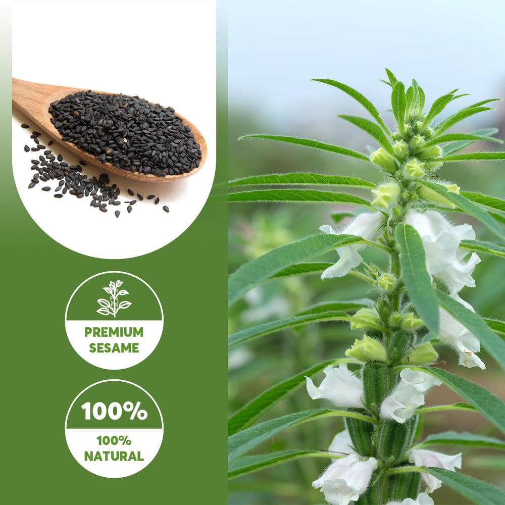Smoothie blended with ONETANG black sesame powder for depth and aroma
