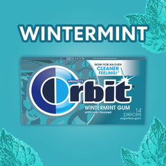Orbit Wintermint bulk 12 packs ideal for gifts or events