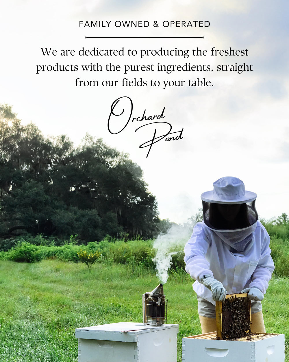 Gift-ready Tupelo honey jar ideal for gourmet cooking and everyday use
