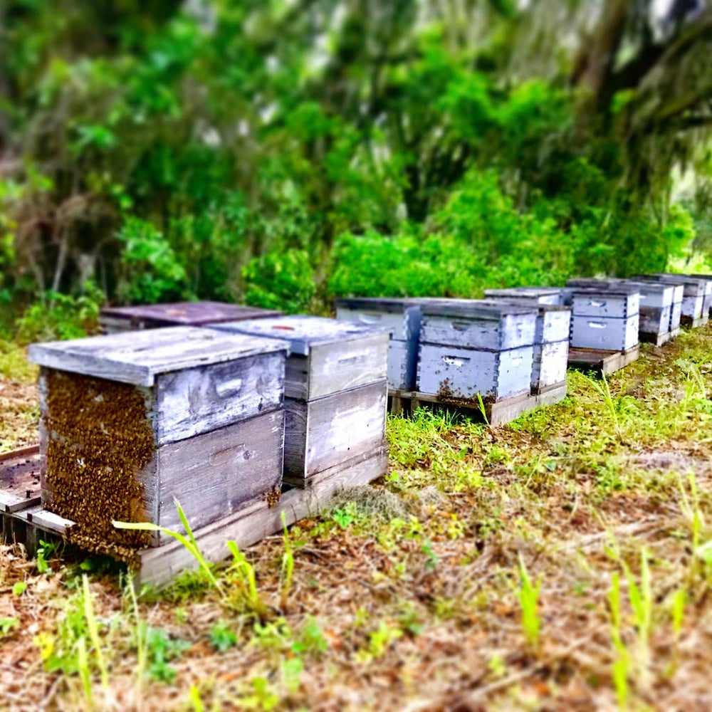 Apalachicola River region Tupelo honey, sustainably sourced and handcrafted for purity