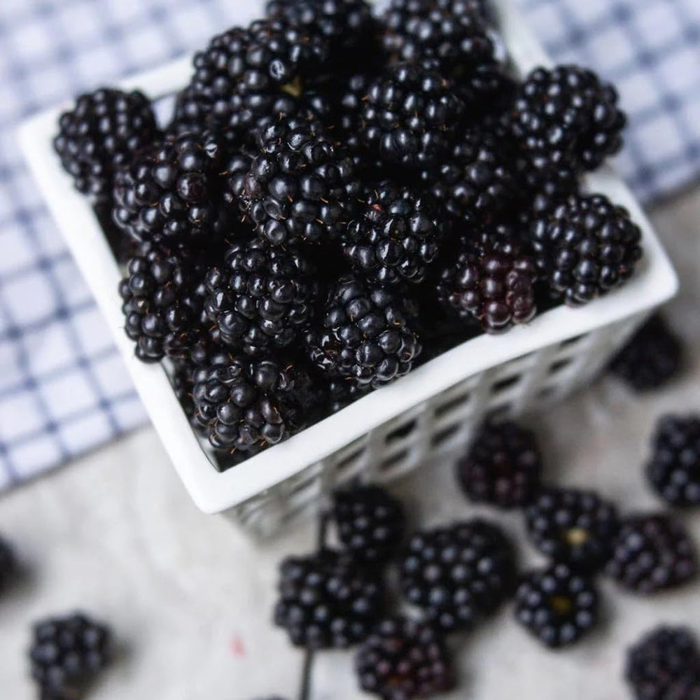 Oregon Growers Marionberry Syrup two-pack display emphasizing freshness and value
