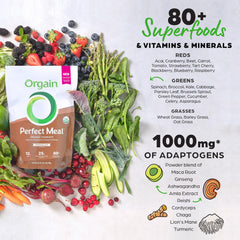 Orgain Perfect Meal chocolate smoothie bowl prepared for a nourishing morning start.
