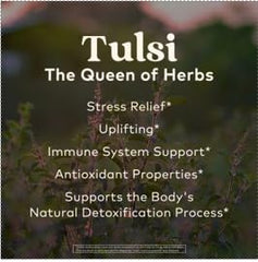 Organic India Tulsi Sleep Tea dried chamomile and herbs highlight calming blend