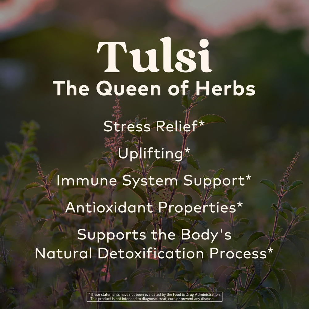 Organic India Tulsi Sweet Rose dried herbs close-up ready for infusion