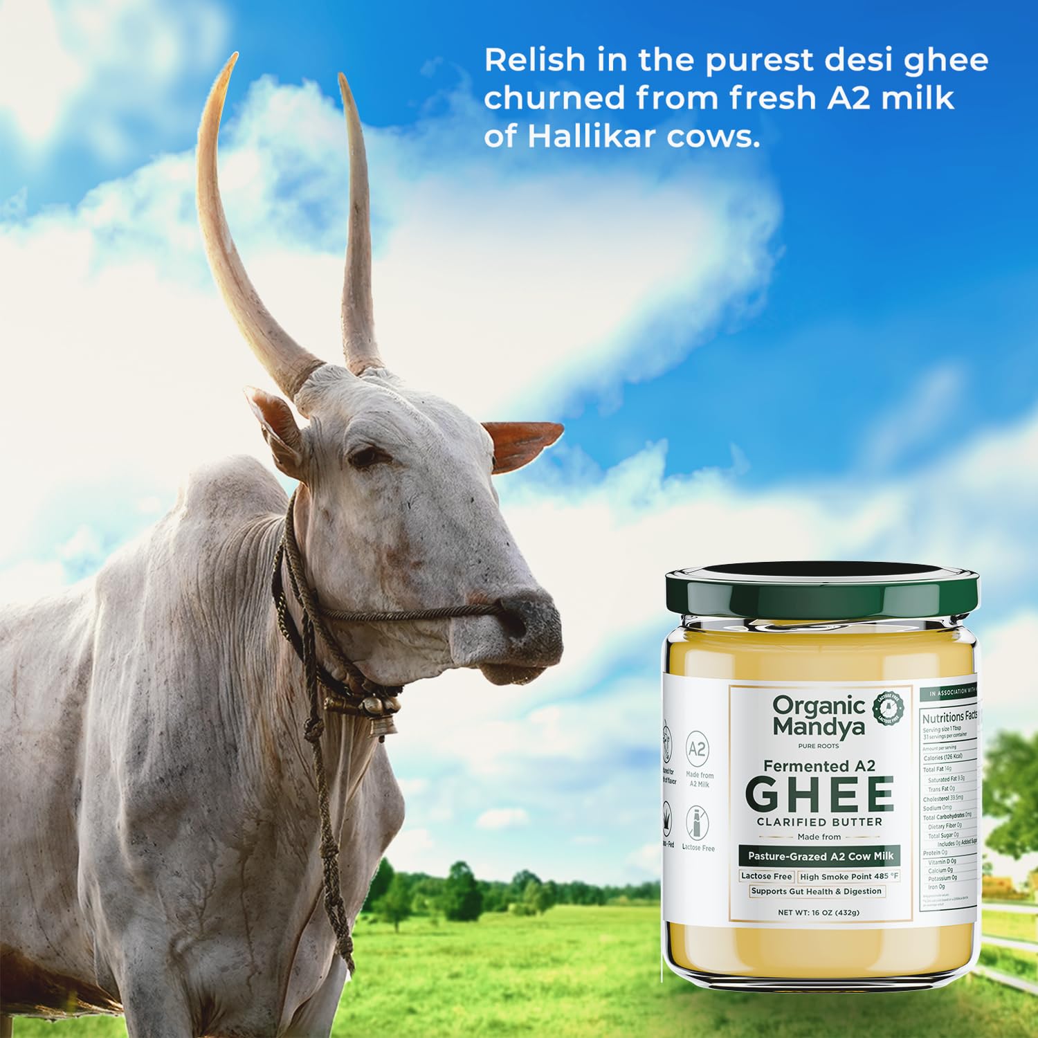 Organic Mandya 475ml bottle—premium ghee for everyday cooking.