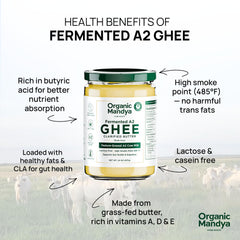 Organic Mandya pasture-raised A2 cows—naturally sourced milk for creamy ghee flavor.