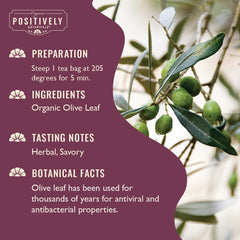 Close-up of olive leaf blend in Organic Positively tea, fresh aroma.