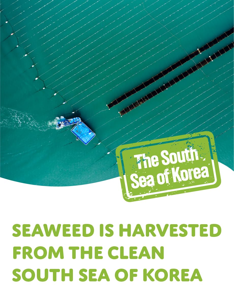 Seaweed sheets wrapped around rice bites for flavorful bites.