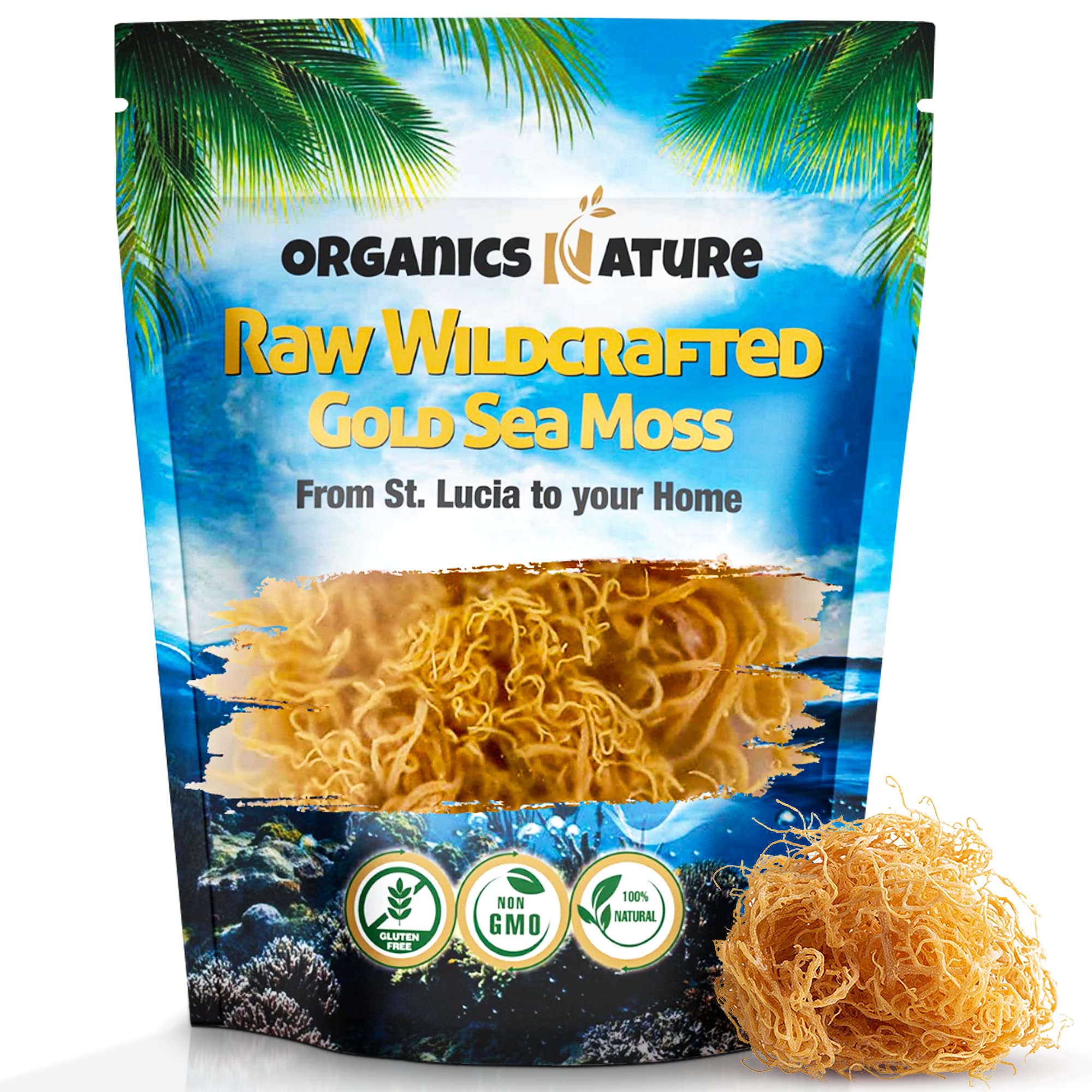 Organics Nature Sea Moss bulk image showing wildcrafted moss from pristine waters for nutrient-rich supplementation.