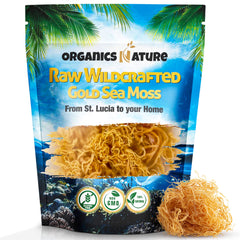 Organics Nature Sea Moss bulk image showing wildcrafted moss from pristine waters for nutrient-rich supplementation.
