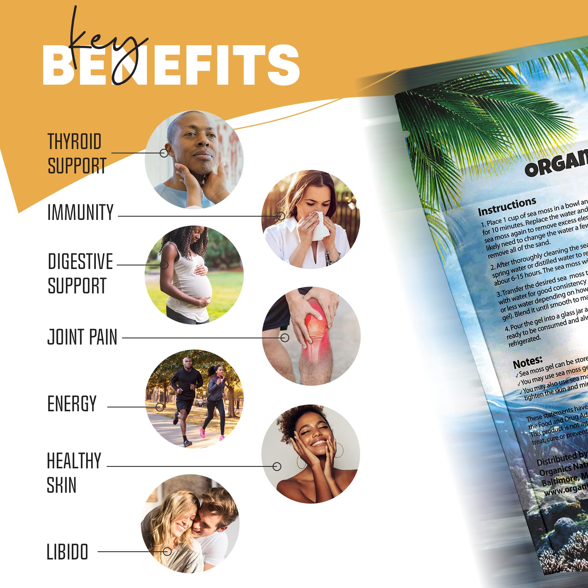 Sea Moss blended into a smoothie for a mineral-rich daily boost.