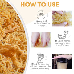 Close-up of Organics Nature sea moss gel texture, honey-colored and ready to blend.
