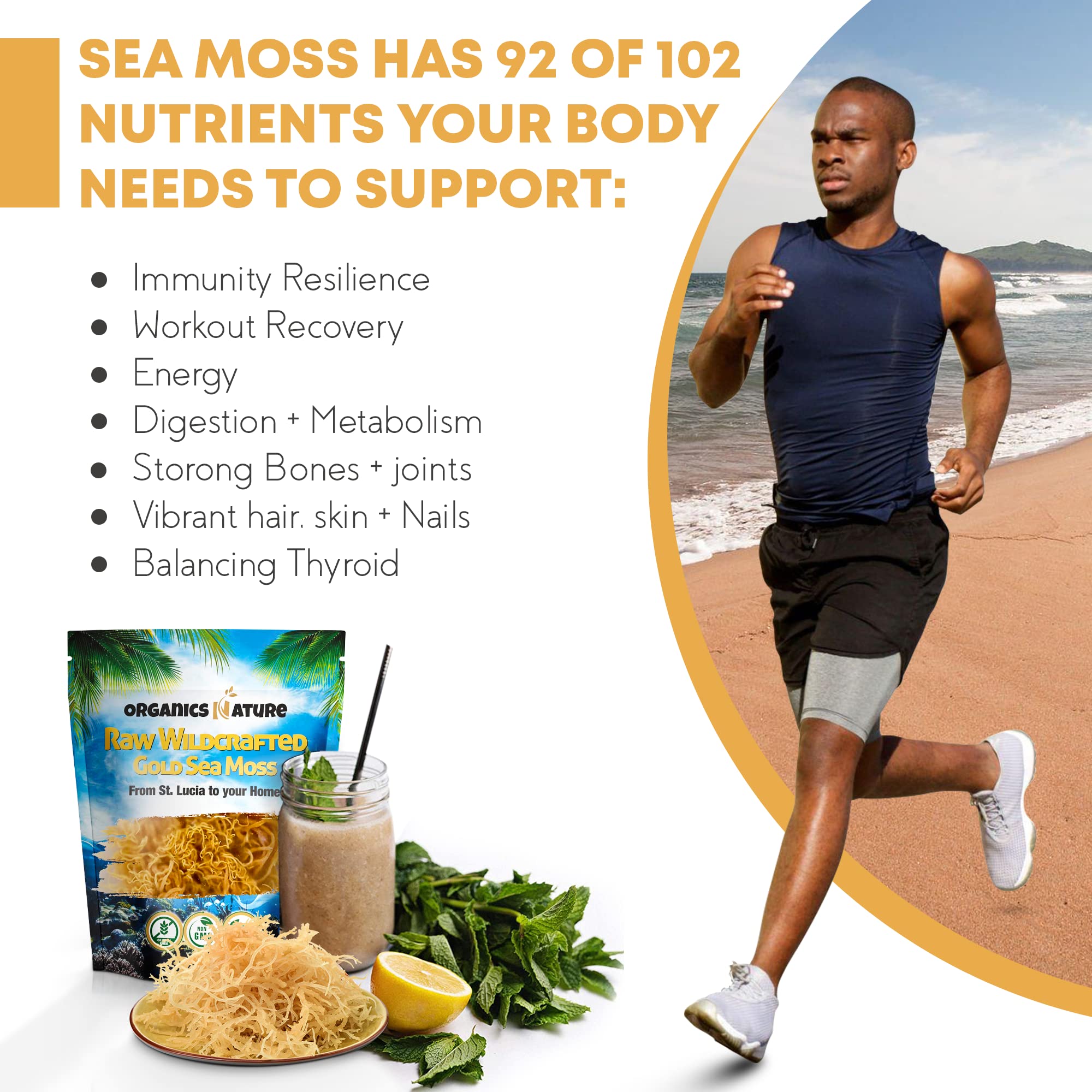 Organics Nature Sea Moss jars and label highlight non-GMO and vegan status.