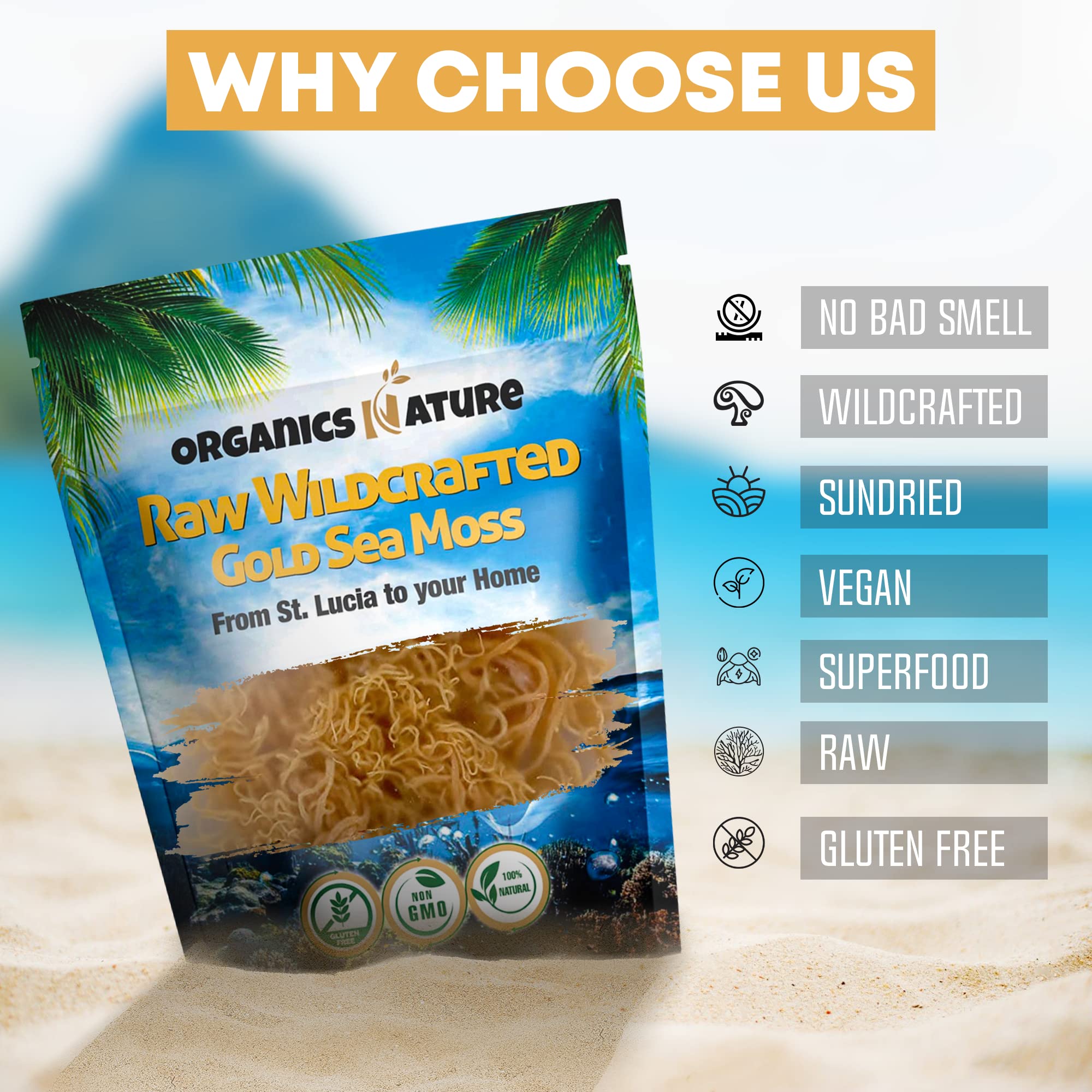 Organics Nature Sea Moss gel used in skincare routine for hydration.