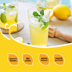 Orgnisulmte lemon powder in glass demonstrates refreshing smoothies and citrus flavor.