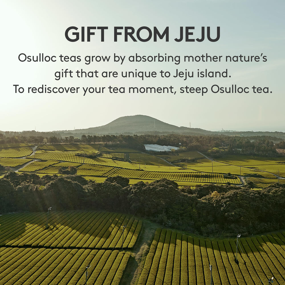 Osulloc Fig Chocolat Black Tea bag showing vibrant leaves ready to steep.