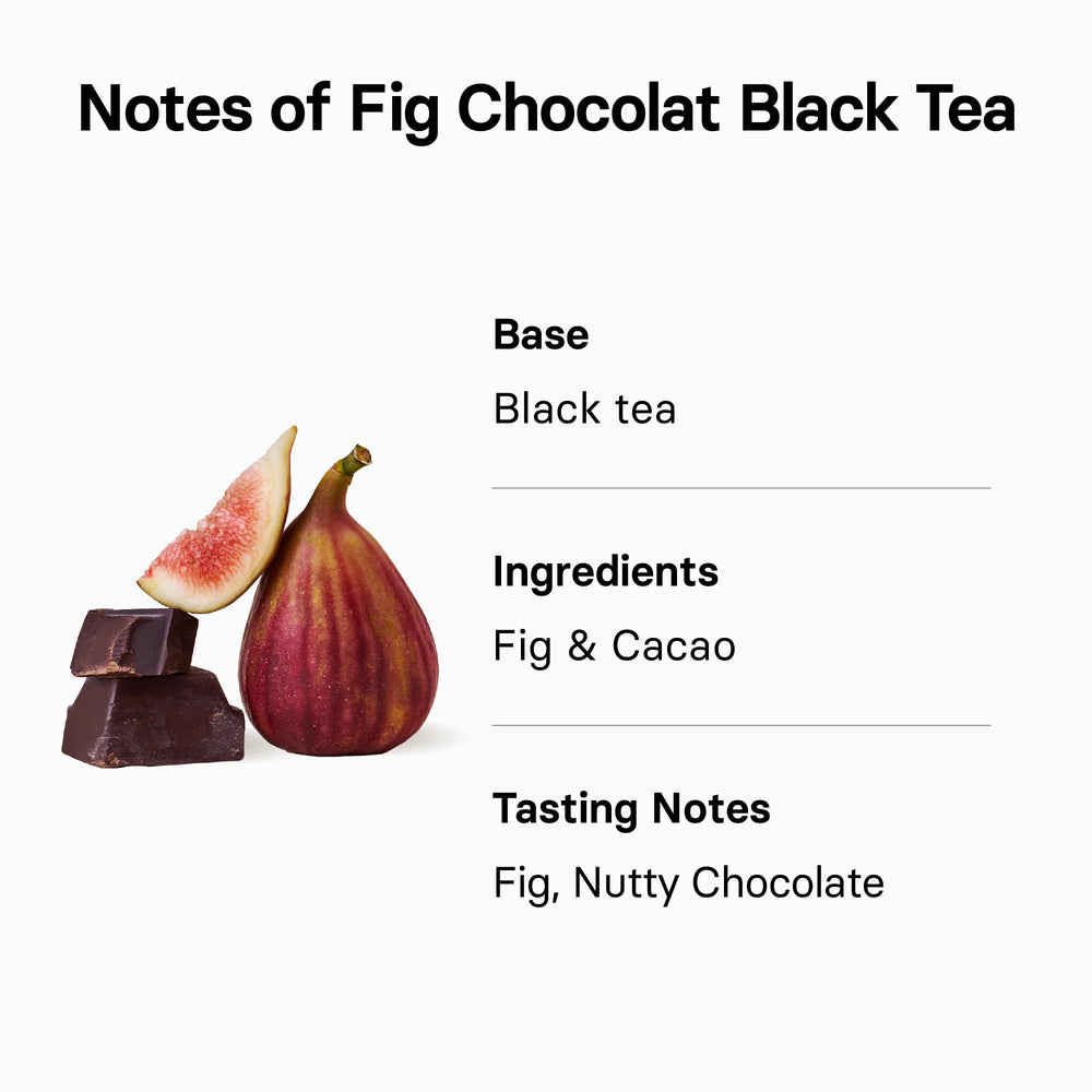 Osulloc Fig Chocolat tea bag ready to brew in seconds for daily enjoyment.