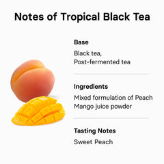 Osulloc iced tea serve with refreshing tropical flavor