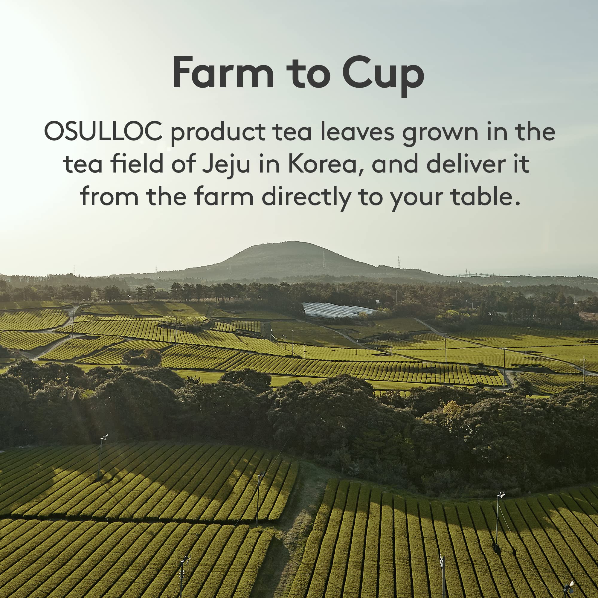 Serving suggestion: chilled glass on a sunny day, healthy refreshment option.