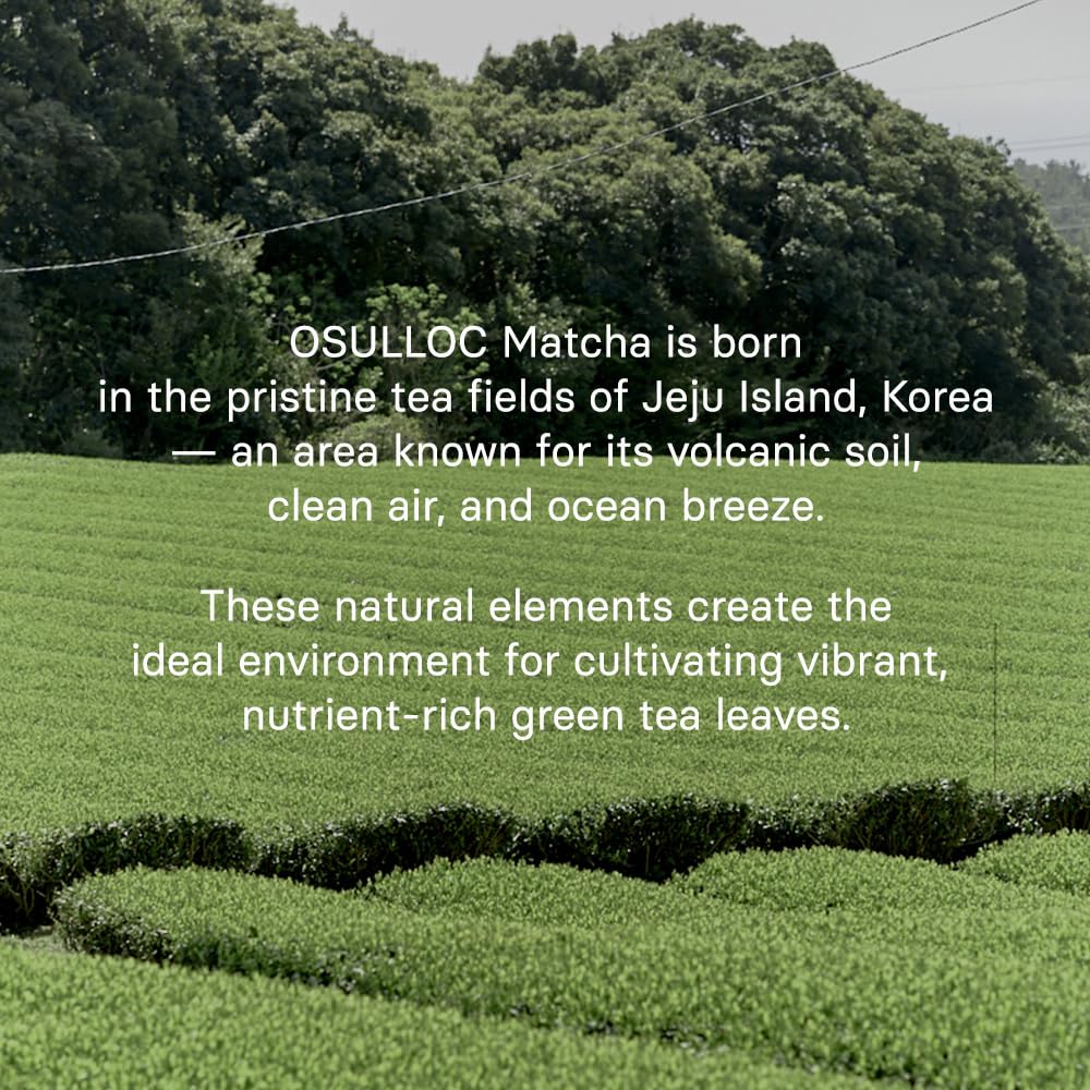 Osulloc Matcha packaging box interior shows quality control and care.