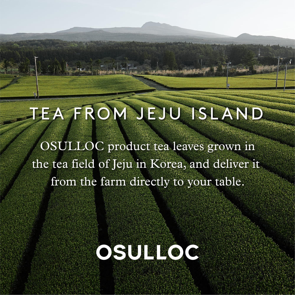 Jeju landscape behind Osulloc branding, signaling premium tea heritage.